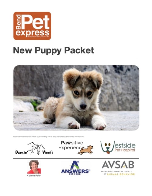 NewPuppyPacket 2020-03-30 14-12-08 NewPuppyPacket 2020-03-30 14-12-08